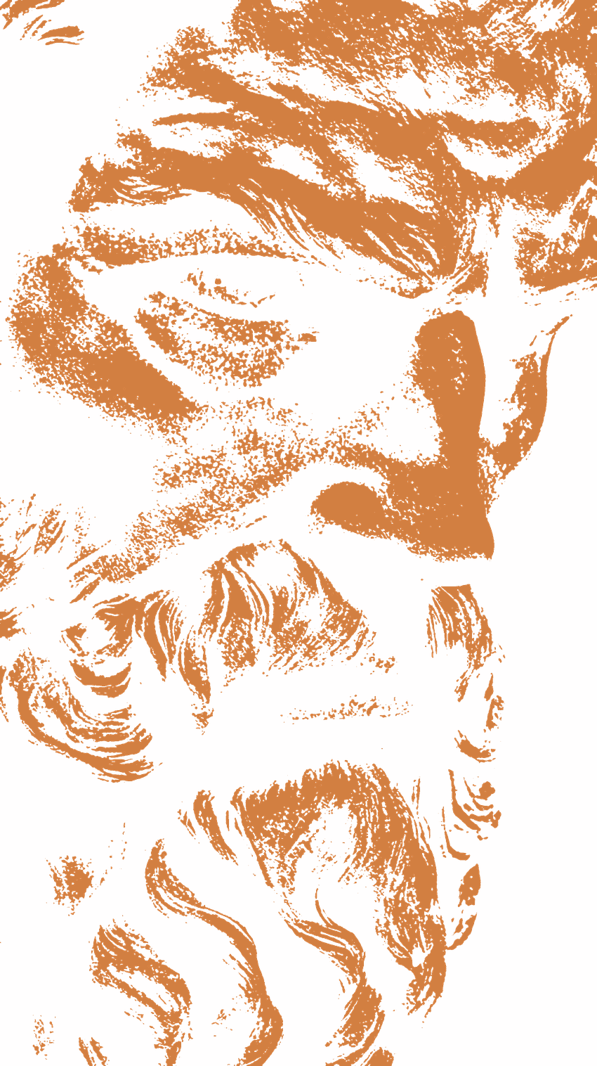 Daedalus